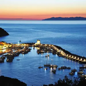 Mini Ulivo Marciana Marina (Isola d'Elba)